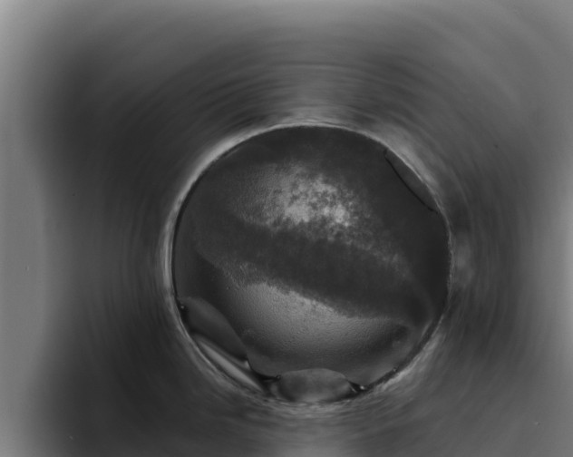 X0000094961246200712061305