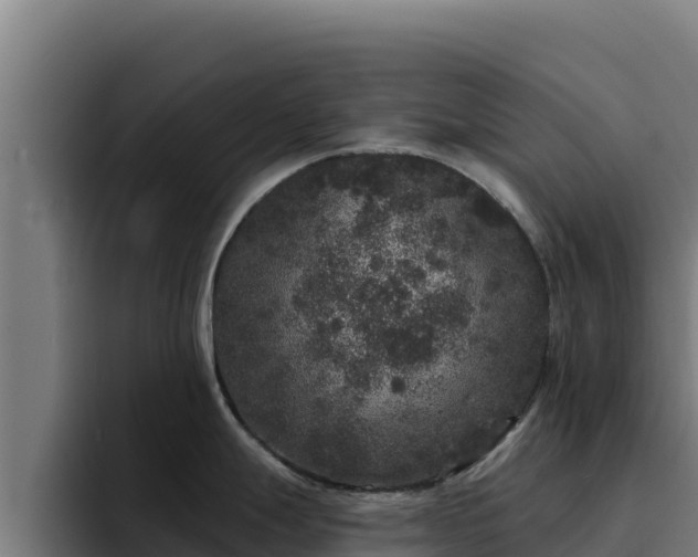 X0000094961247200712061305