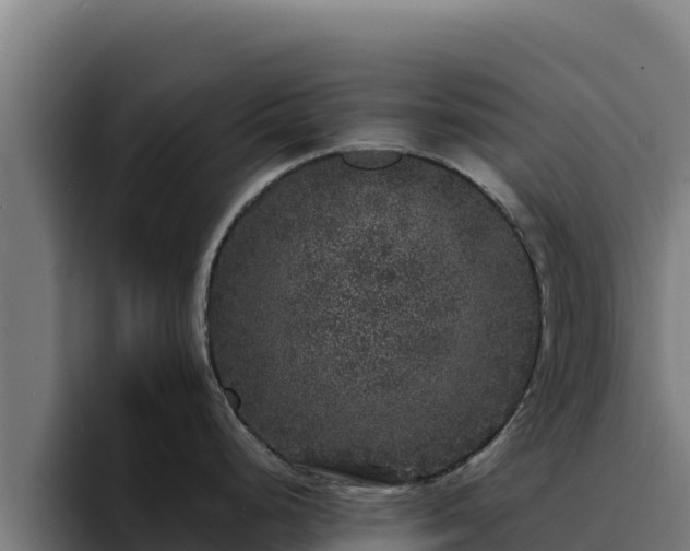 X0000094961248200712061305