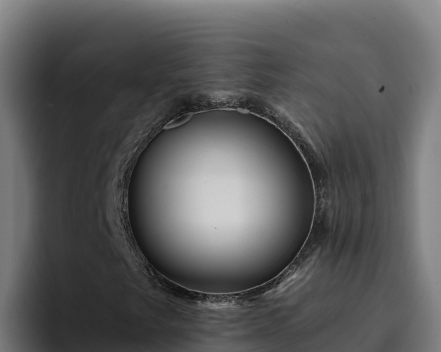 X0000094961249200712061304