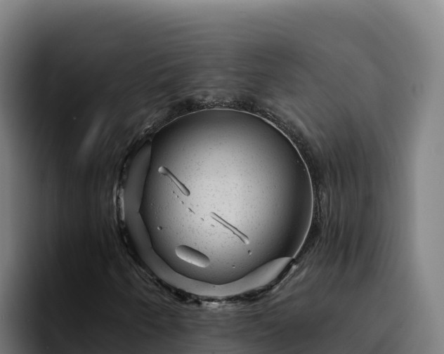 X0000094961250200712061304