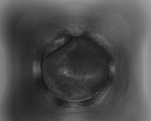 X0000094961252200712061304