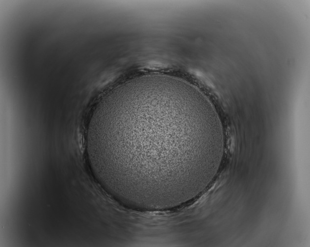 X0000094961253200712061304