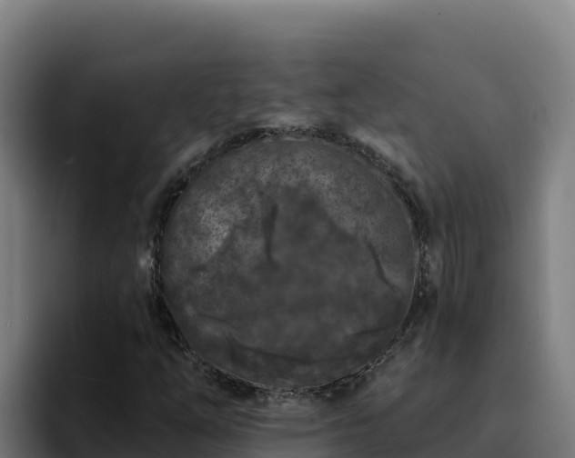 X0000094961254200712061304