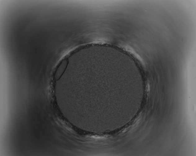 X0000094961256200712061304