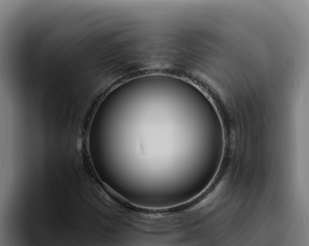 X0000094961257200712061304