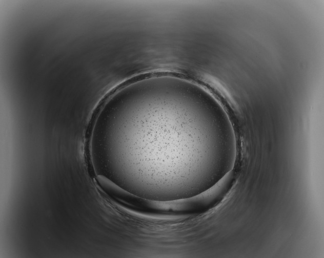 X0000094961260200712061304