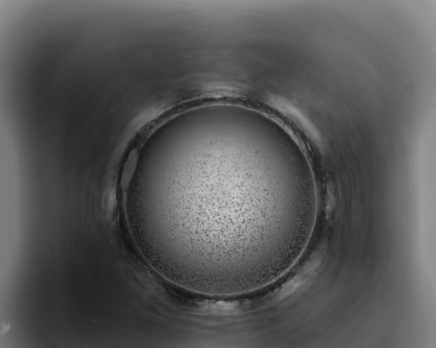 X0000094961261200712061304