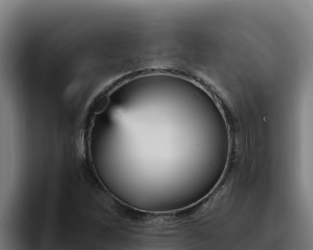 X0000094961262200712061304