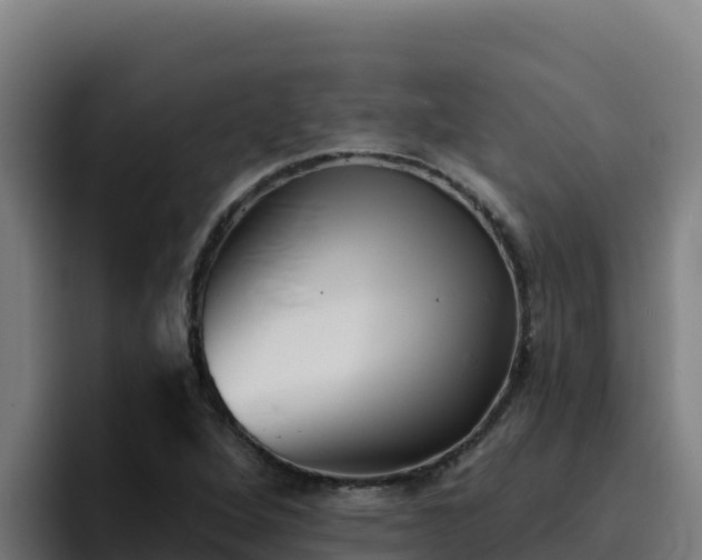 X0000094961264200712061304