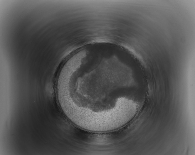 X0000094961266200712061304