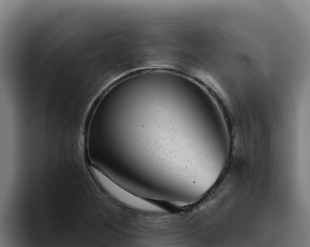 X0000094961268200712061304