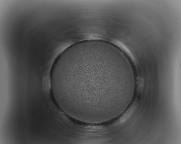 X0000094961269200712061304