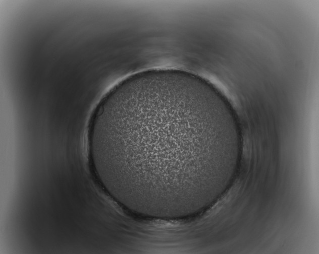 X0000094961270200712061304