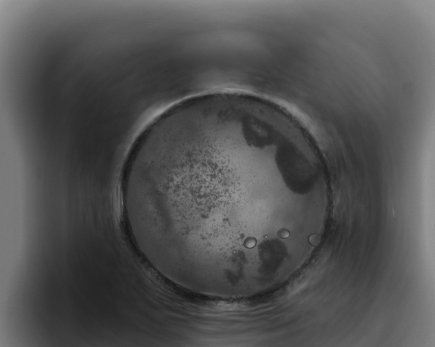 X0000094961271200712061304