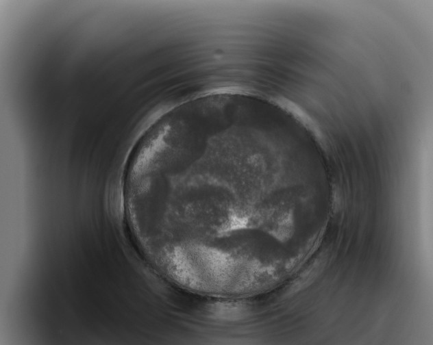 X0000094961274200712061304