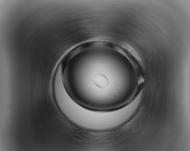 X0000094961276200712061304