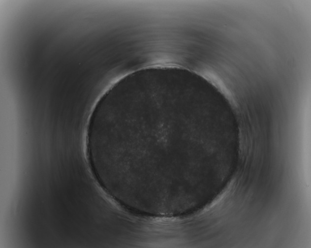 X0000094961277200712061304