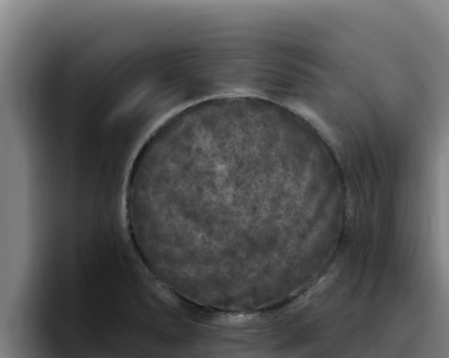 X0000094961278200712061304