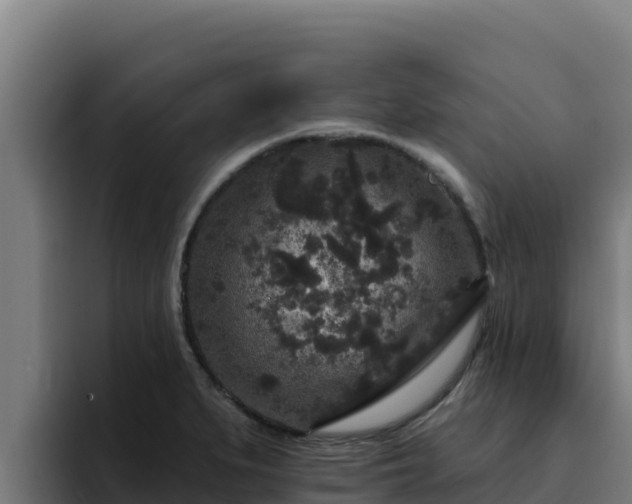 X0000094961279200712061304