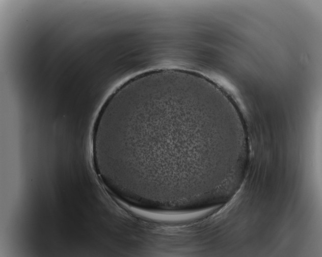 X0000094961280200712061304