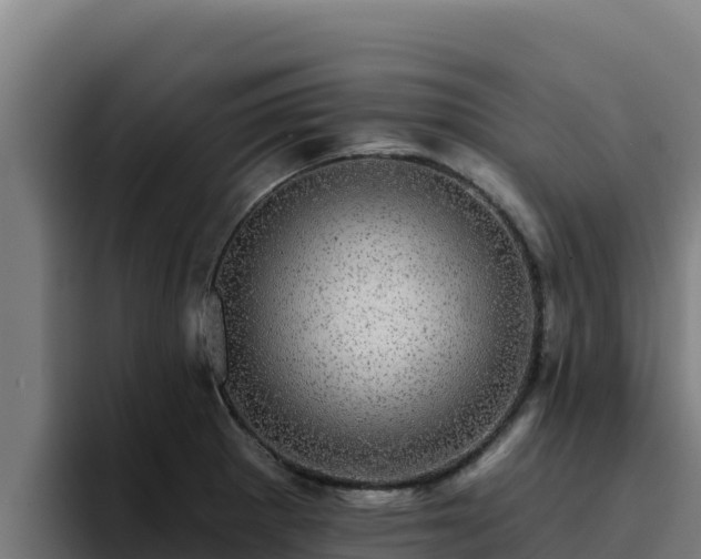 X0000094961281200712061304