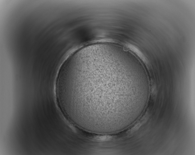 X0000094961282200712061304