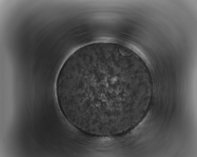 X0000094961283200712061304