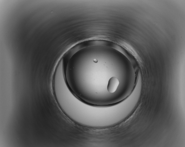 X0000094961284200712061304