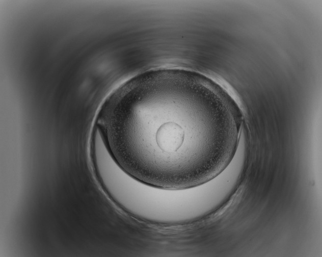 X0000094961285200712061304