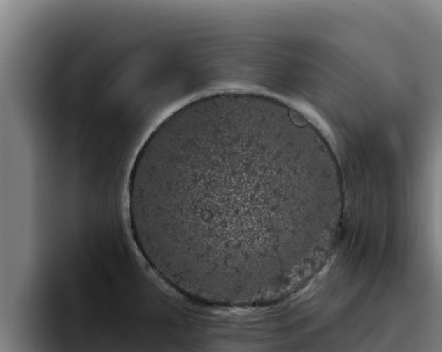 X0000094961287200712061304