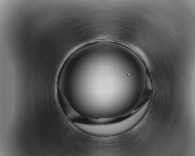 X0000094961288200712061304