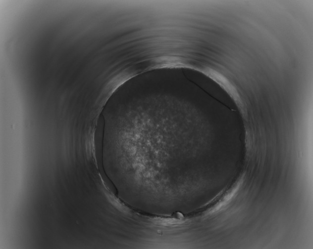 X0000094961289200712061304