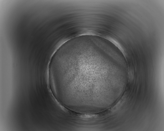 X0000094961290200712061304