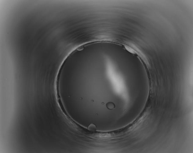 X0000094961291200712061304