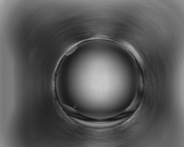 X0000094961292200712061304