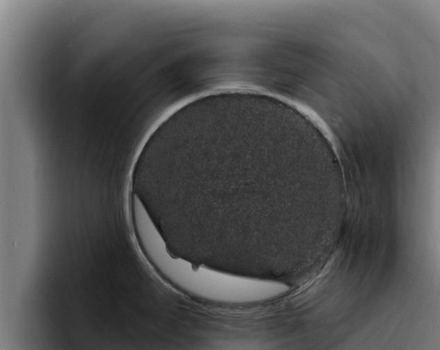 X0000094961295200712061304