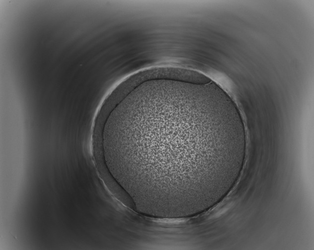 X0000094961296200712061304