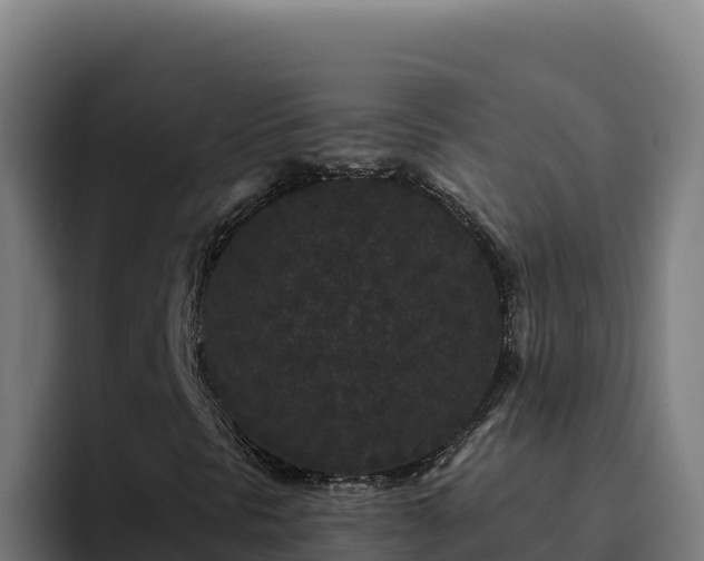 X0000094961297200712061303