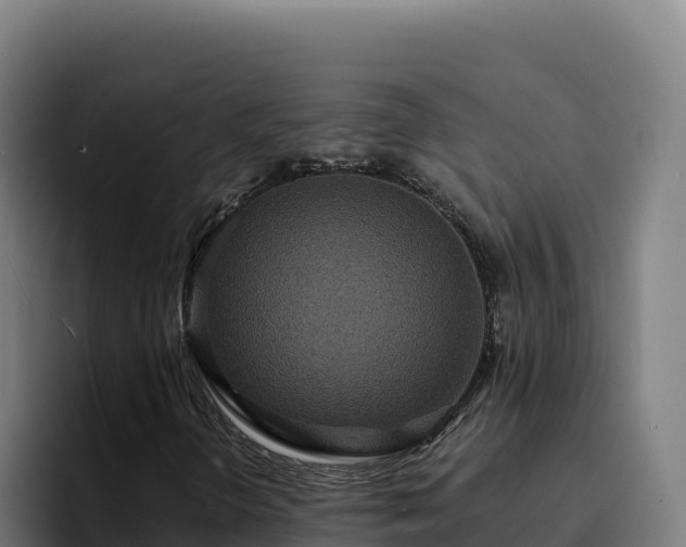 X0000094961298200712061303