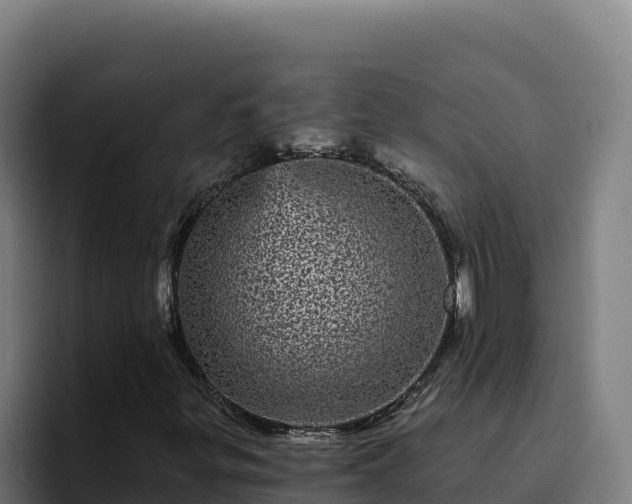 X0000094961299200712061303