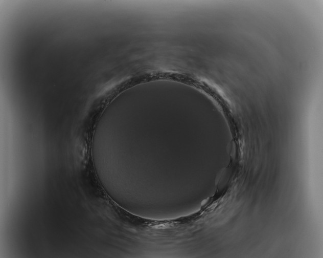 X0000094961303200712061303