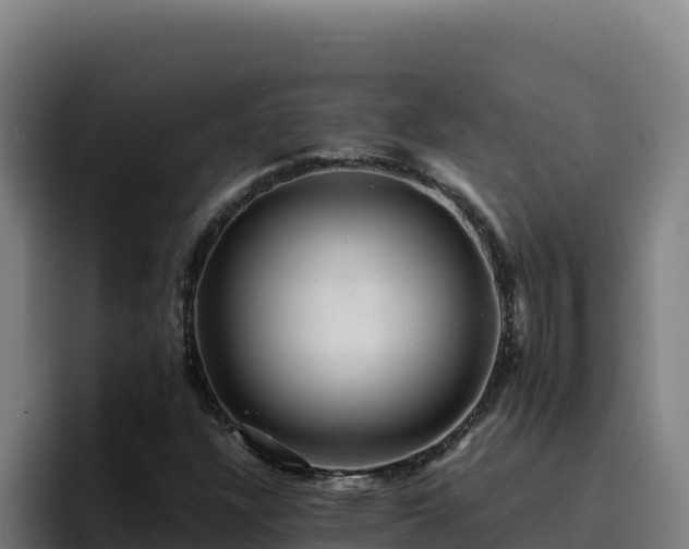 X0000094961304200712061303