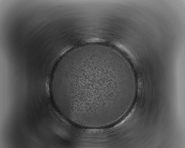 X0000094961305200712061303