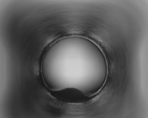 X0000094961306200712061303