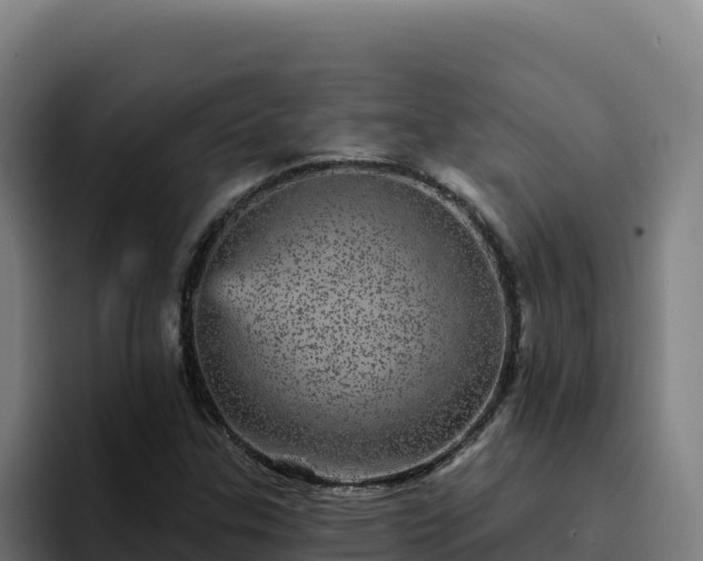 X0000094961307200712061303