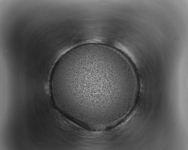 X0000094961308200712061303