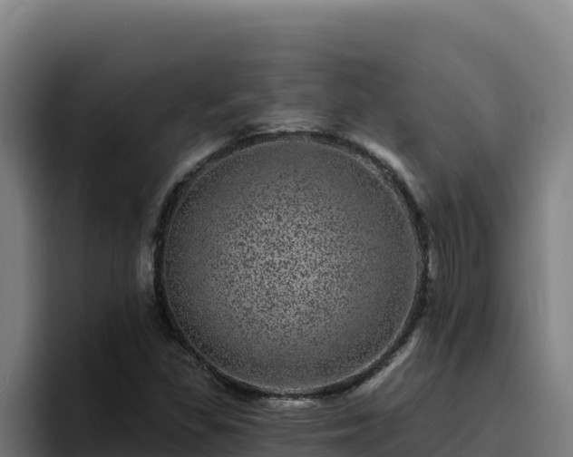 X0000094961309200712061303