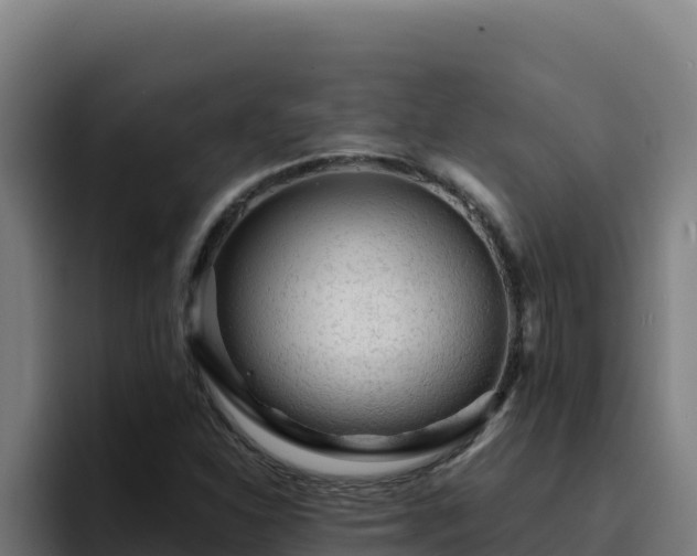 X0000094961310200712061303