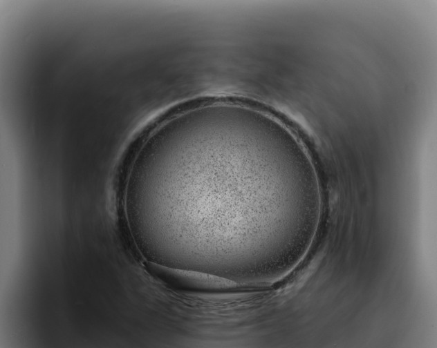 X0000094961311200712061303